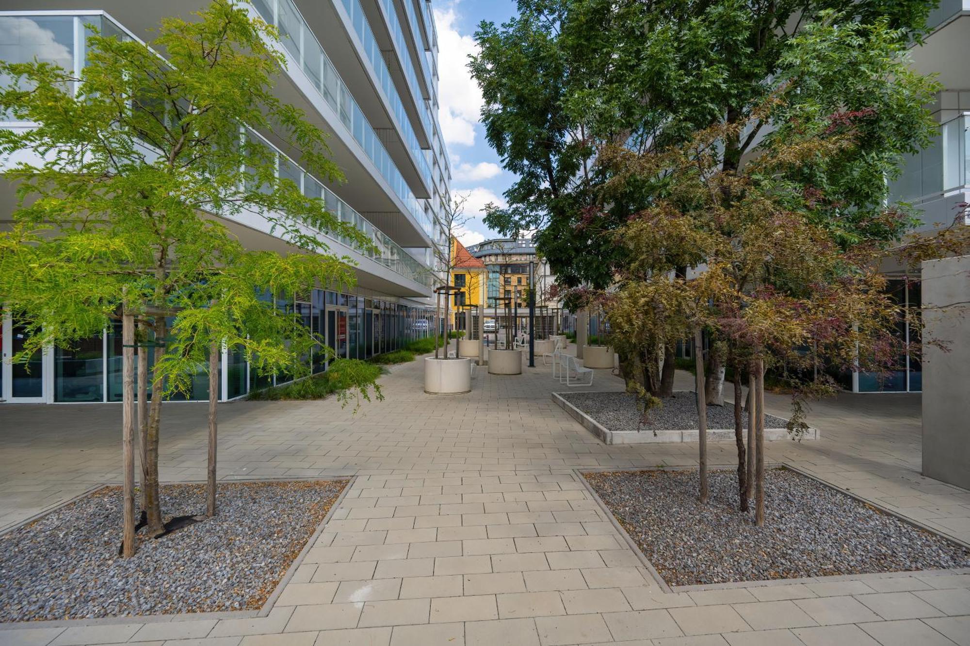 Elegancki Apartament Z Parkingiem Blisko Starego Miasta By Noclegi Renters Wrocław Kültér fotó